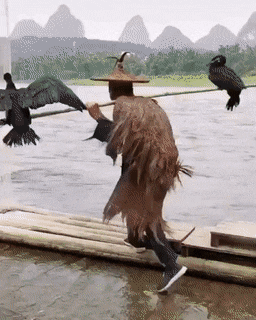 Acid Gifdump, August 8 (25 gifs)