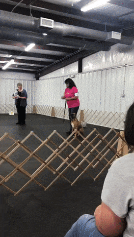 Acid Gifdump, August 8 (25 gifs)