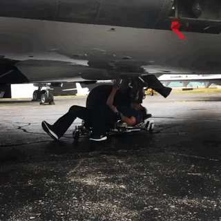 Acid Gifdump, August 8 (25 gifs)