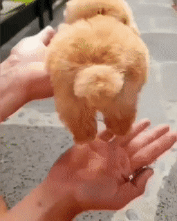 Acid Gifdump, August 8 (25 gifs)