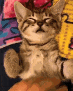 Acid Gifdump, August 8 (25 gifs)