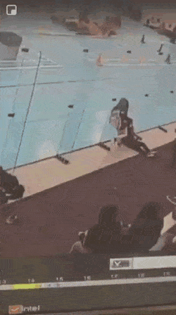 Acid Gifdump, August 8 (25 gifs)