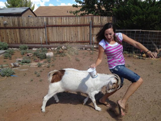 Perfectly Timed Photos (38 pics)