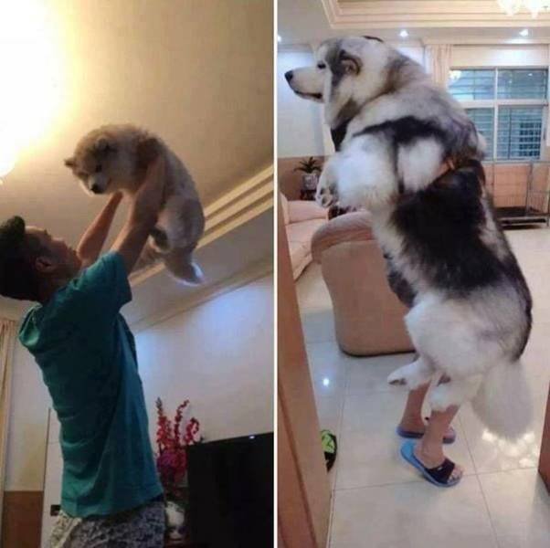 When A Picture Says More Than Just A Thousand Words (55 pics)