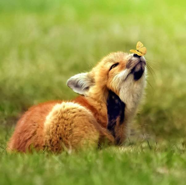 When A Picture Says More Than Just A Thousand Words (55 pics)