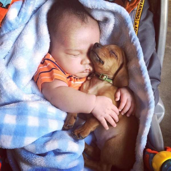 When A Picture Says More Than Just A Thousand Words (55 pics)