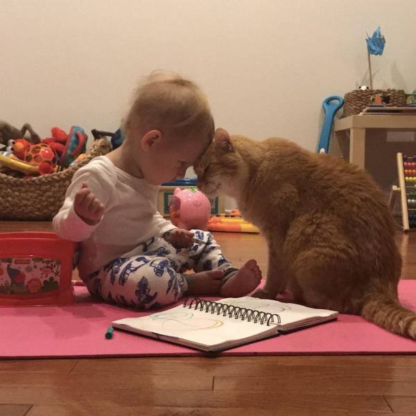 When A Picture Says More Than Just A Thousand Words (55 pics)