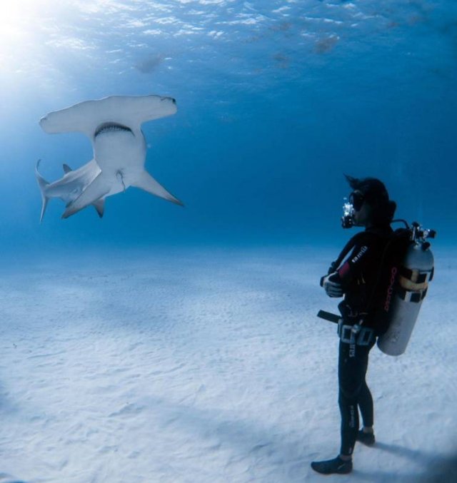 When A Picture Says More Than Just A Thousand Words (55 pics)