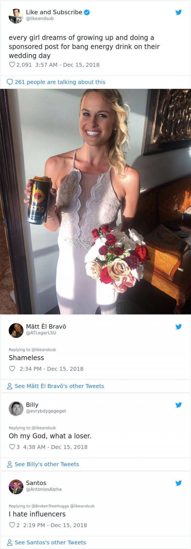 Why People Hate Some Influencers (12 pics)