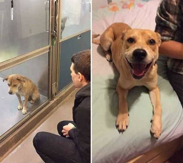 When A Picture Says More Than Just A Thousand Words (55 pics)