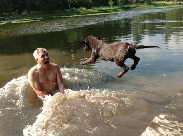 Perfectly Timed Photos (38 pics)