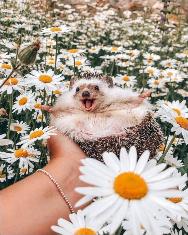When A Picture Says More Than Just A Thousand Words (55 pics)