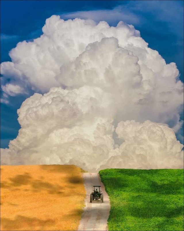 When A Picture Says More Than Just A Thousand Words (55 pics)