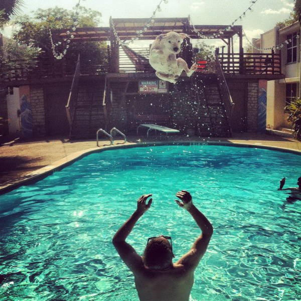 Perfectly Timed Photos (38 pics)