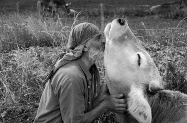 When A Picture Says More Than Just A Thousand Words (55 pics)