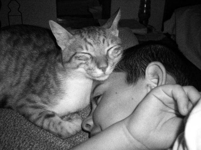 When A Picture Says More Than Just A Thousand Words (55 pics)