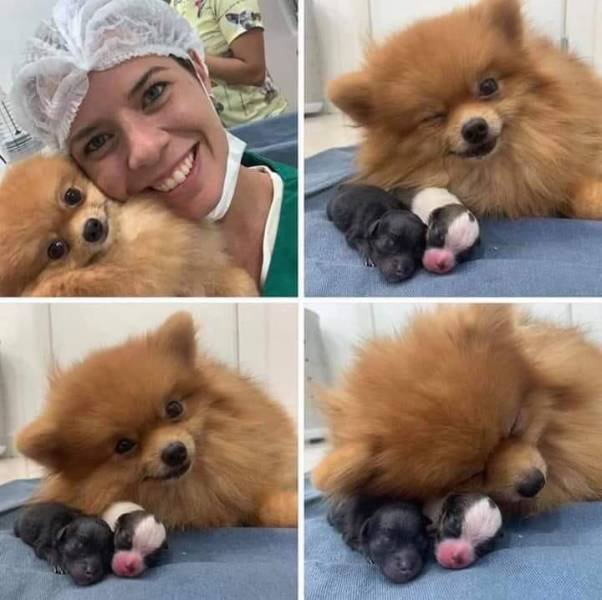 When A Picture Says More Than Just A Thousand Words (55 pics)