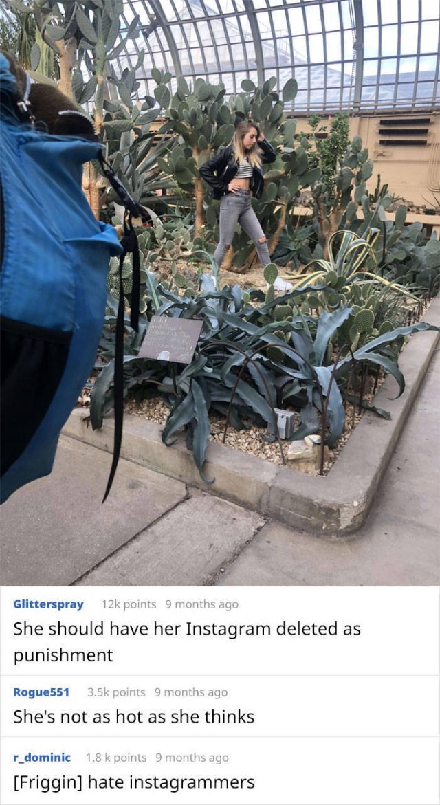 Why People Hate Some Influencers (12 pics)