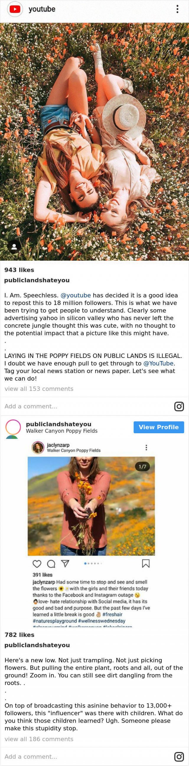 Why People Hate Some Influencers (12 pics)