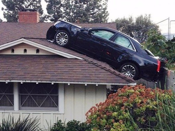 You Don't See Something Like This Very Often (22 pics)