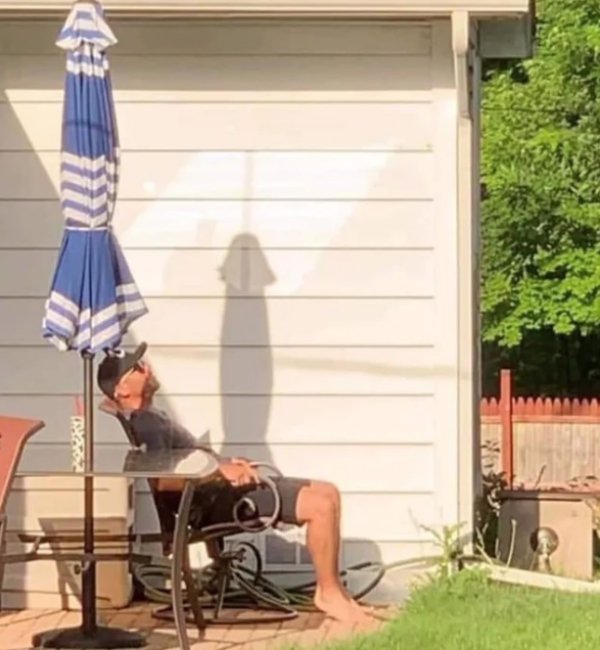 Funny Silhouettes (32 pics)