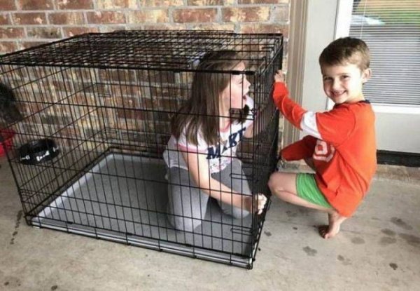 Sh*t Happens (38 pics)