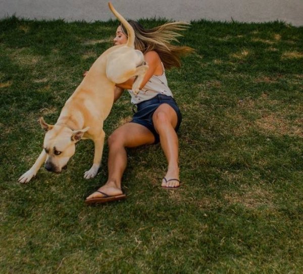 Sh*t Happens (38 pics)