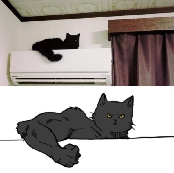 Funny Silhouettes (32 pics)
