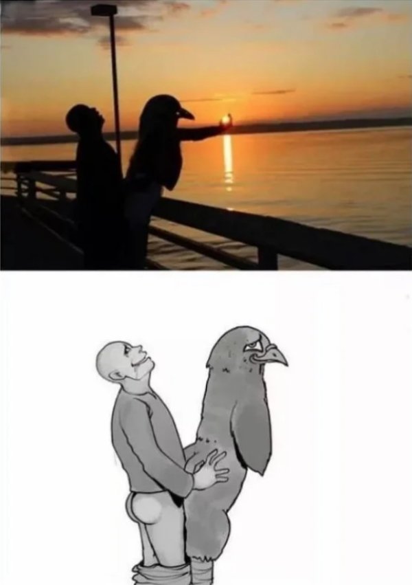 Funny Silhouettes (32 pics)