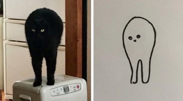 Funny Silhouettes (32 pics)