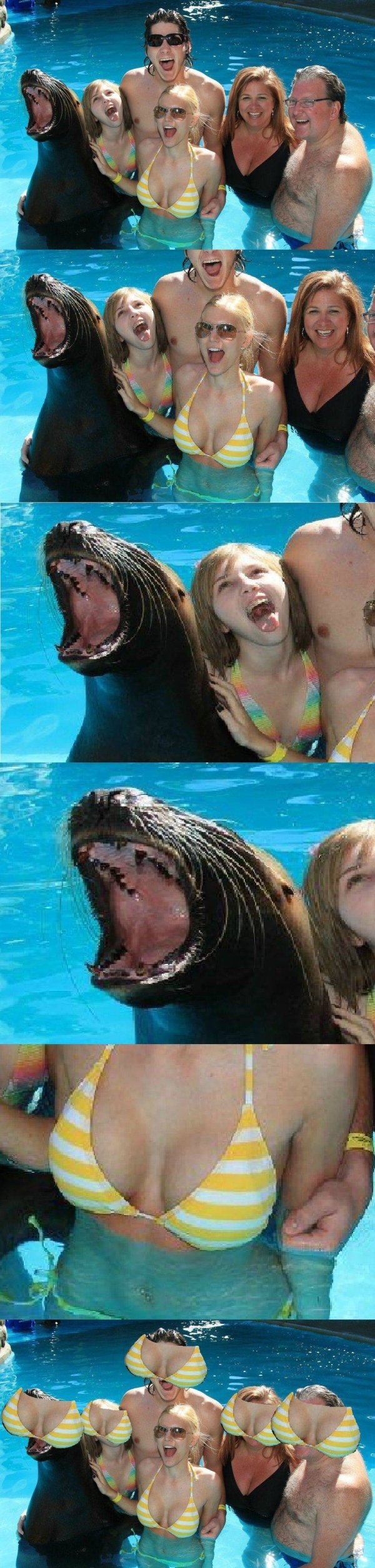 Face Swap Memes (25 pics)
