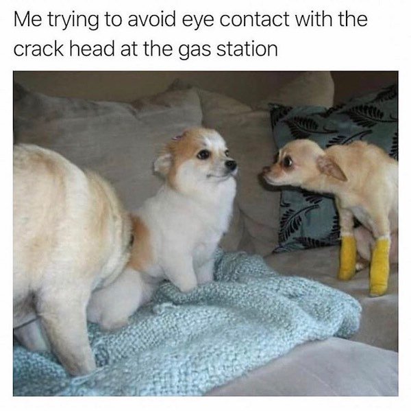 These Memes Are Very Funny (32 pics)