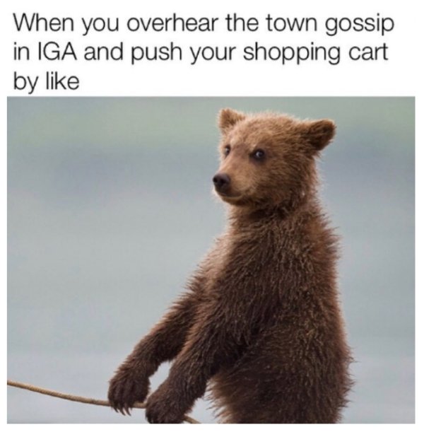 Small Town Memes (30 pics)