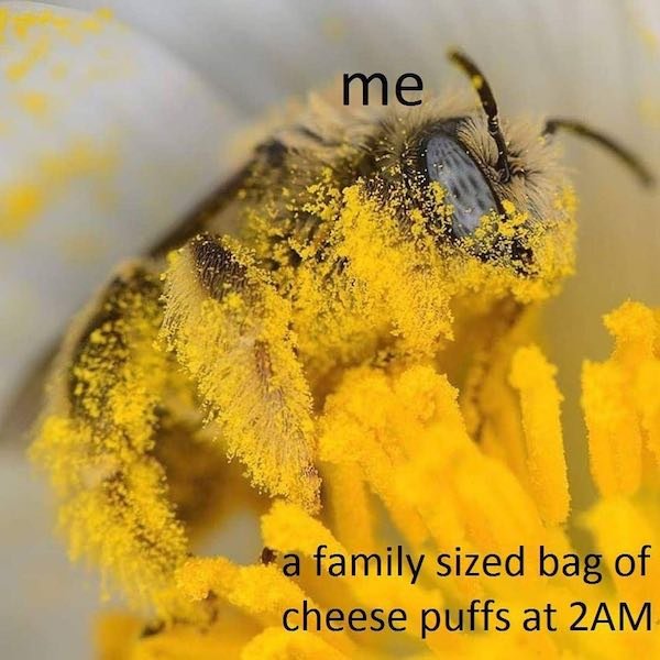 These Memes Are Very Funny (32 pics)