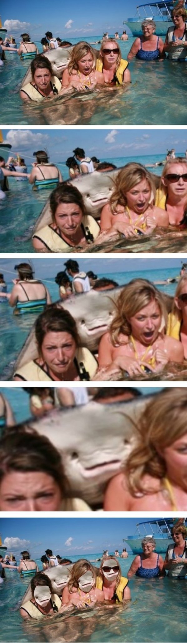Face Swap Memes (25 pics)