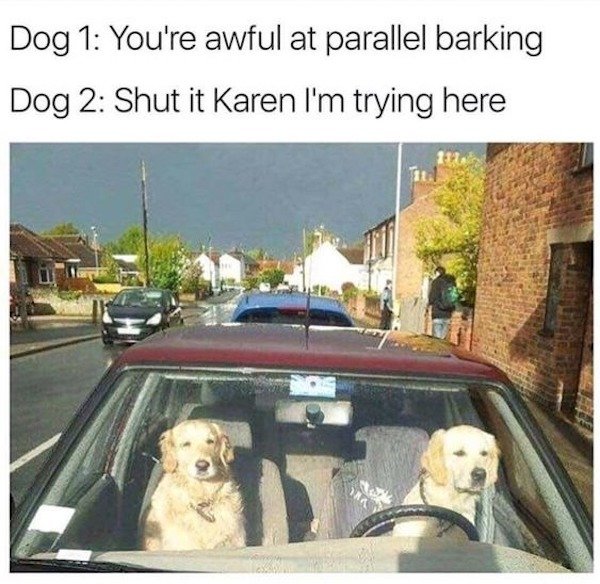 These Memes Are Very Funny (32 pics)