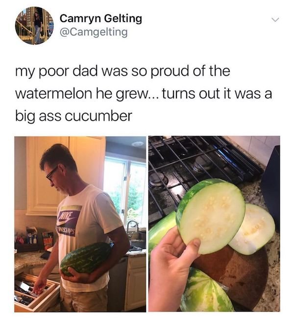 These Memes Are Very Funny (32 pics)