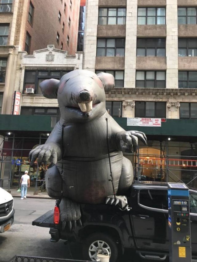 Acid Picdump. Part 2 (96 pics)