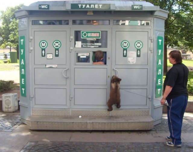 Acid Picdump. Part 1 (100 pics)