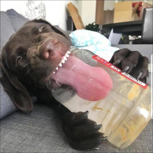 Acid Picdump. Part 1 (100 pics)