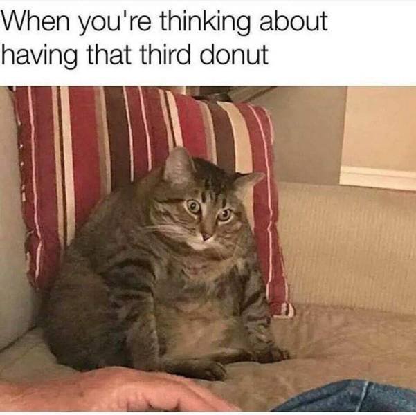 Acid Picdump. Part 2 (96 pics)