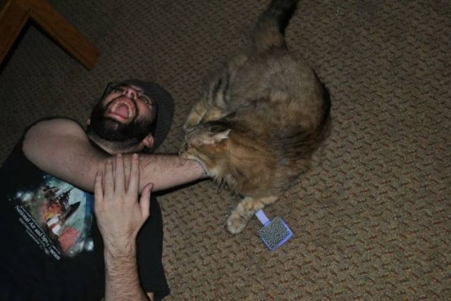 Acid Picdump. Part 1 (100 pics)