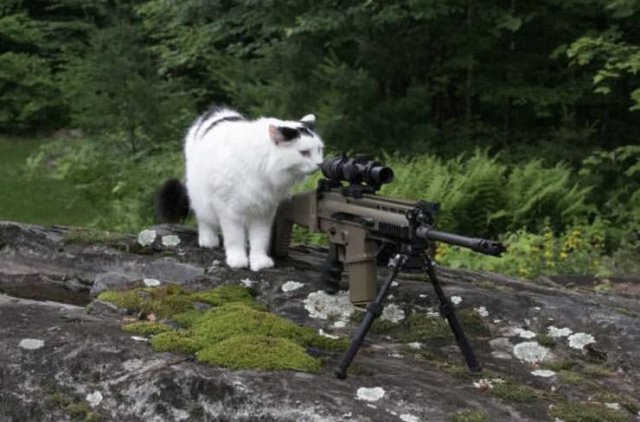 Acid Picdump. Part 1 (100 pics)