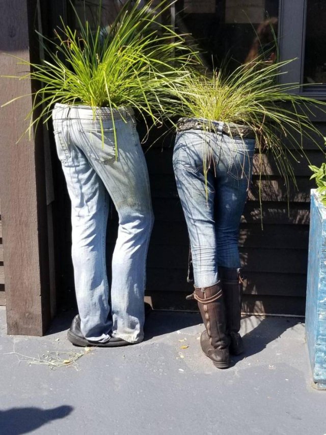 Acid Picdump. Part 1 (100 pics)