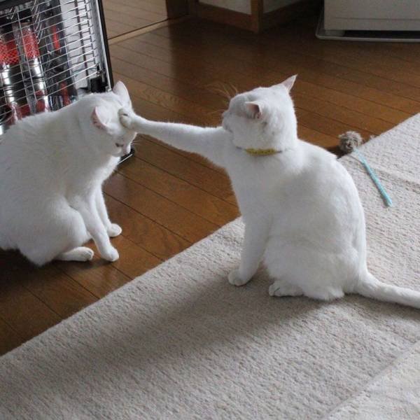 Acid Picdump. Part 1 (100 pics)
