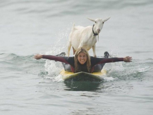 Acid Picdump. Part 1 (100 pics)
