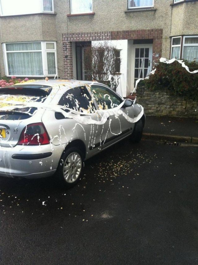 Acid Picdump. Part 1 (100 pics)
