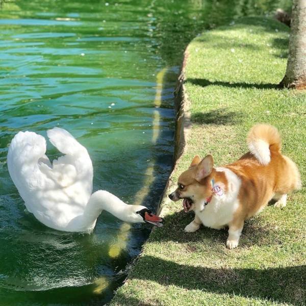 Acid Picdump. Part 1 (100 pics)