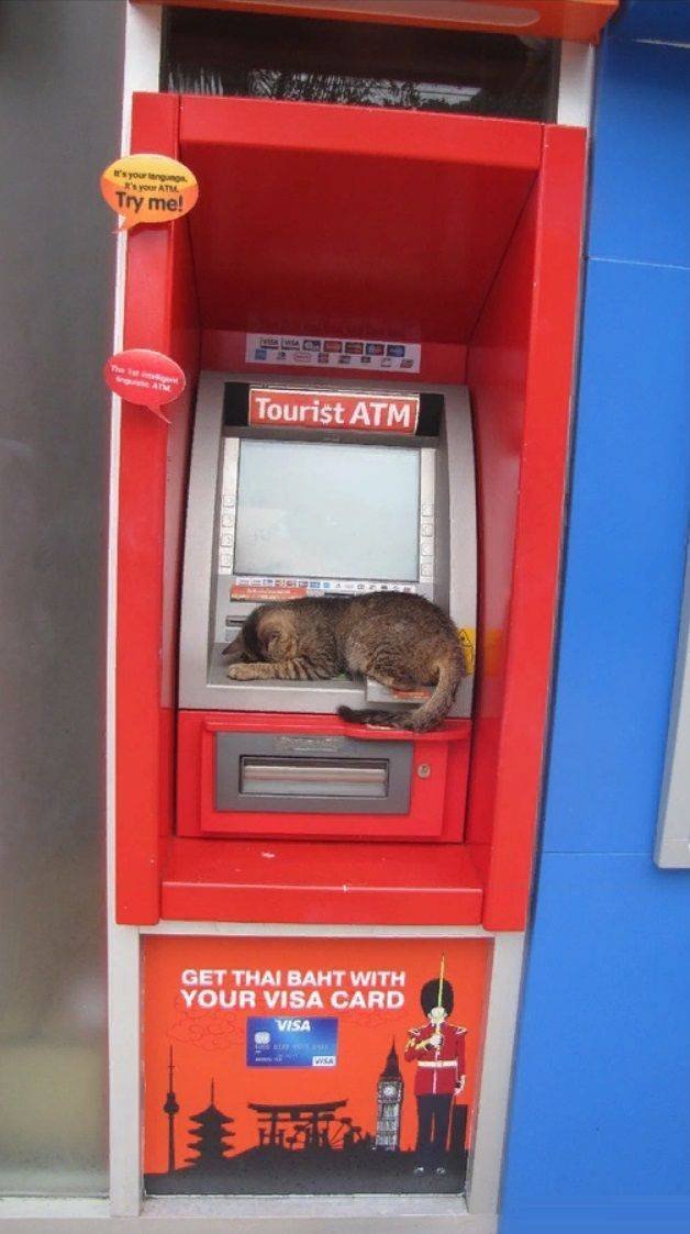 Acid Picdump. Part 1 (100 pics)