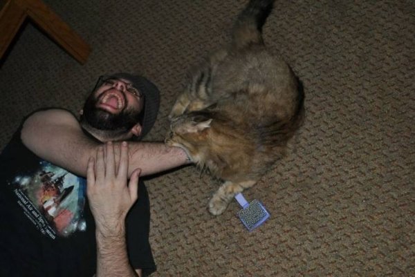 Acid Picdump. Part 2 (81 pics)